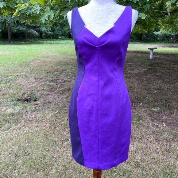 TAHARI NEW DRESS SHEATH V-NECK PURPLE COLOR BLOCK SLEEVELESS Size 4 NWT - Picture 1 of 9